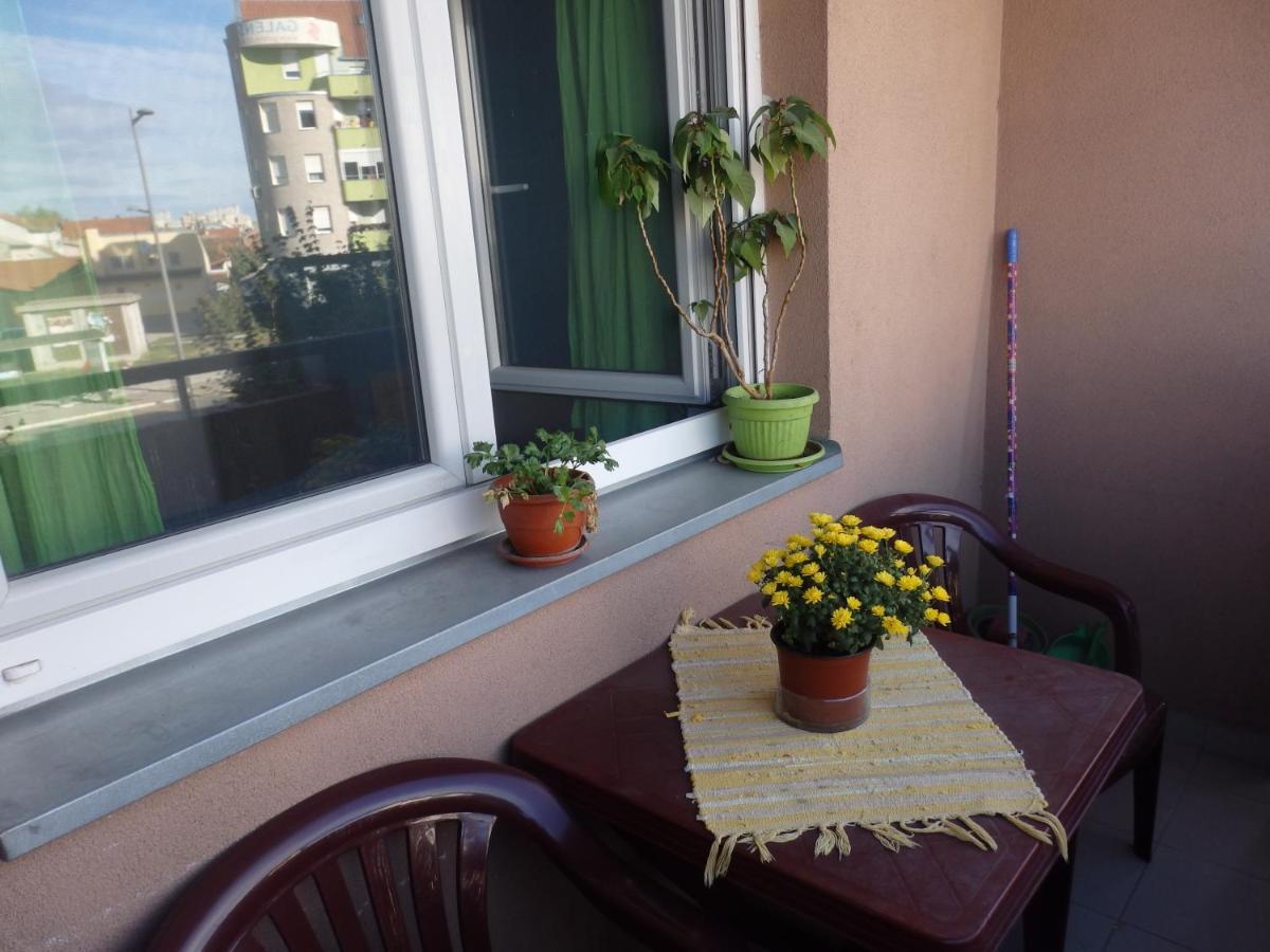 Apartment Erika 2 Novi Sad Dış mekan fotoğraf