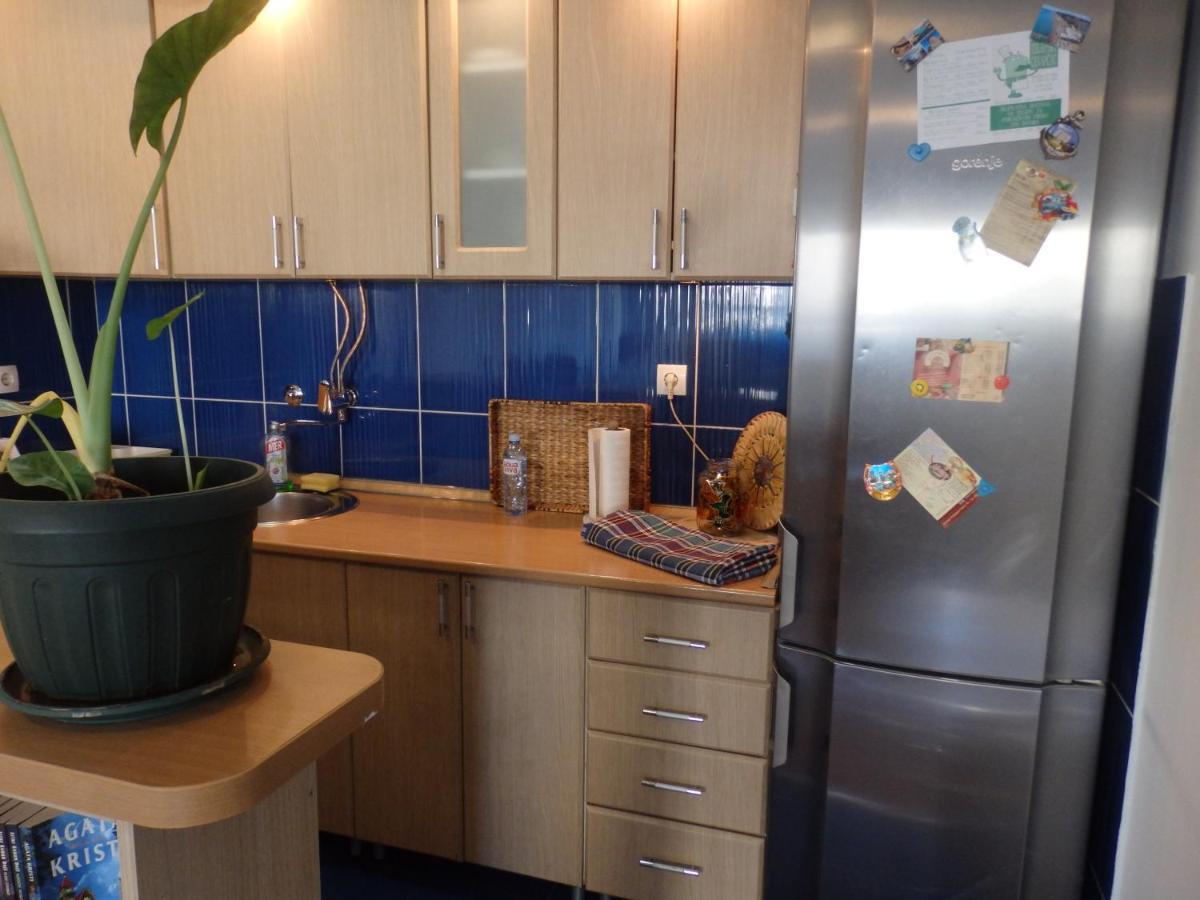 Apartment Erika 2 Novi Sad Dış mekan fotoğraf