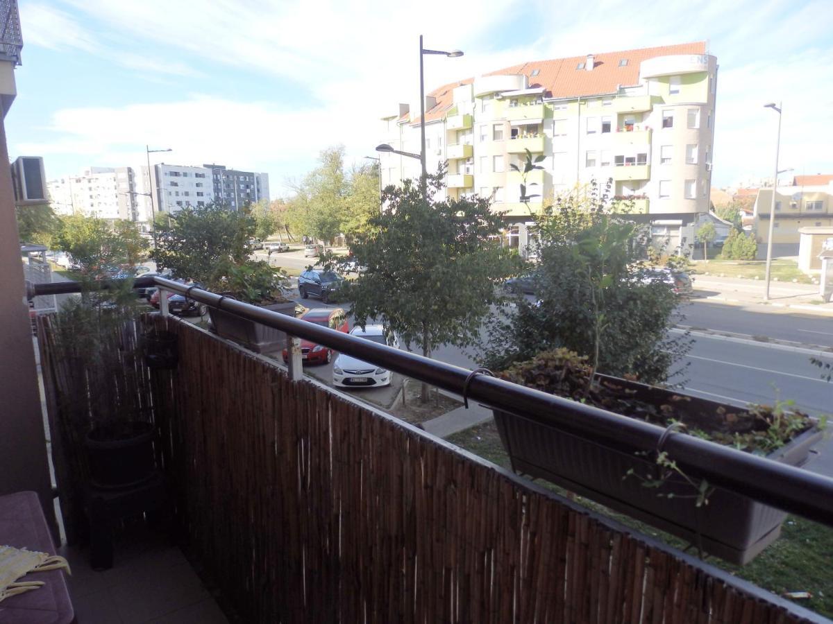 Apartment Erika 2 Novi Sad Dış mekan fotoğraf