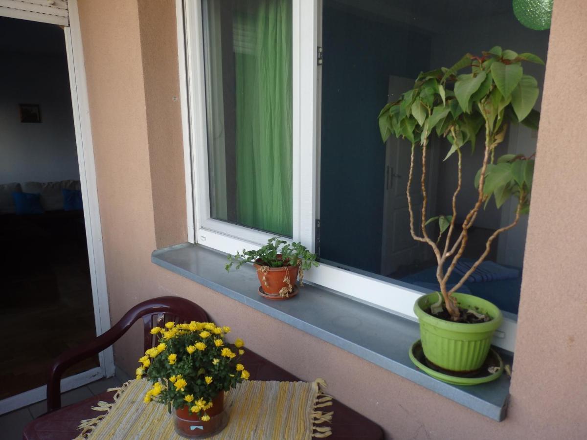 Apartment Erika 2 Novi Sad Dış mekan fotoğraf