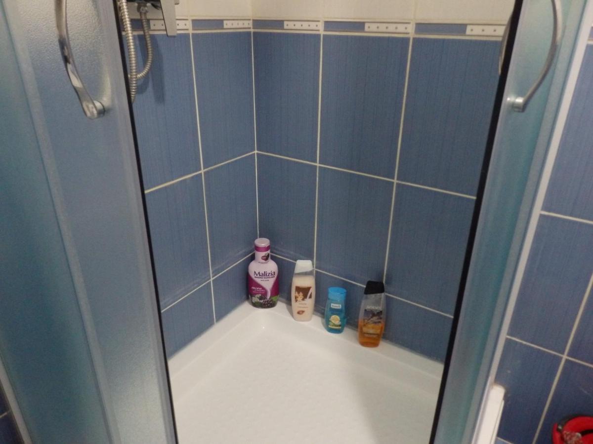Apartment Erika 2 Novi Sad Dış mekan fotoğraf